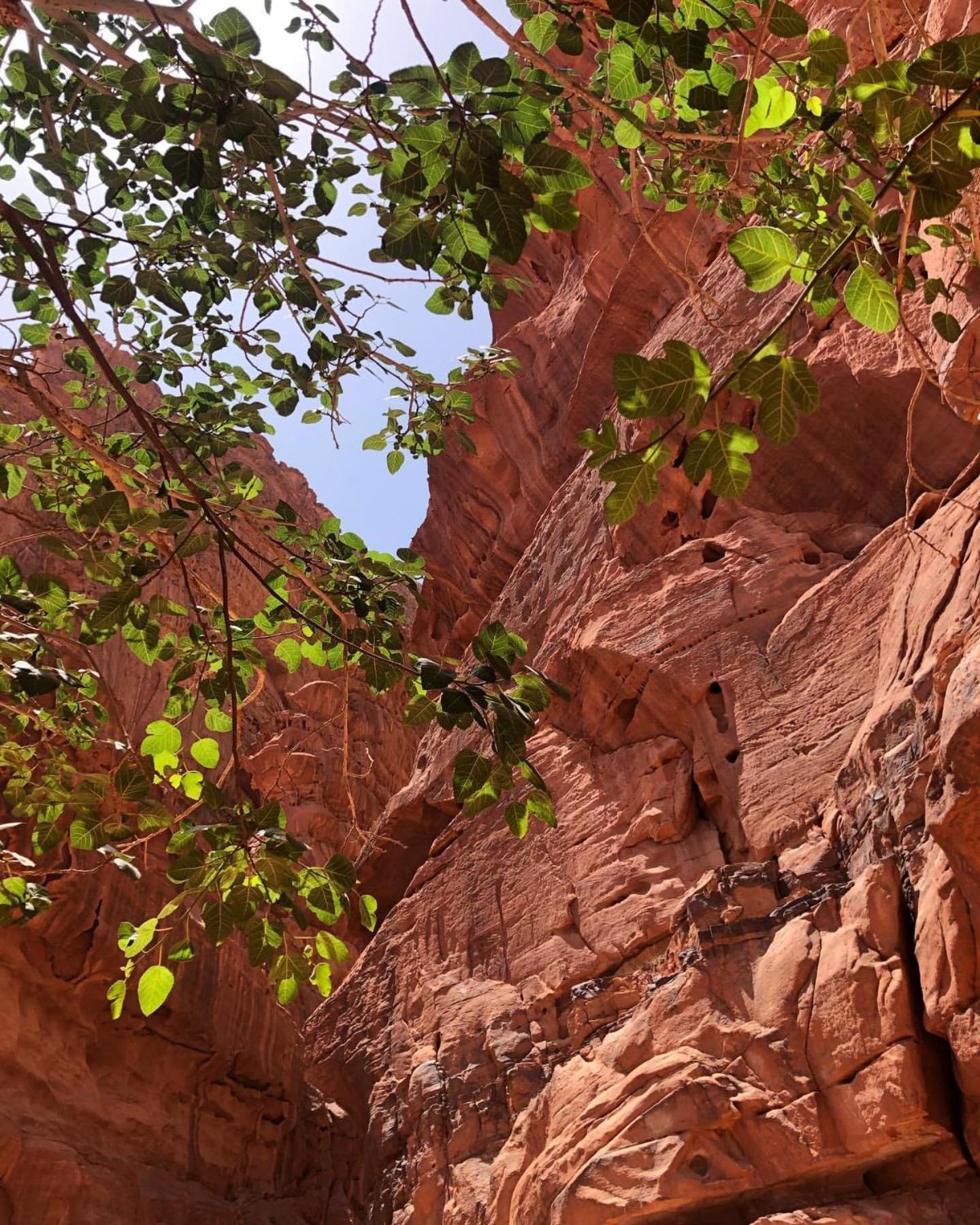 Wadi Rum Meteorite Camp Ngoại thất bức ảnh