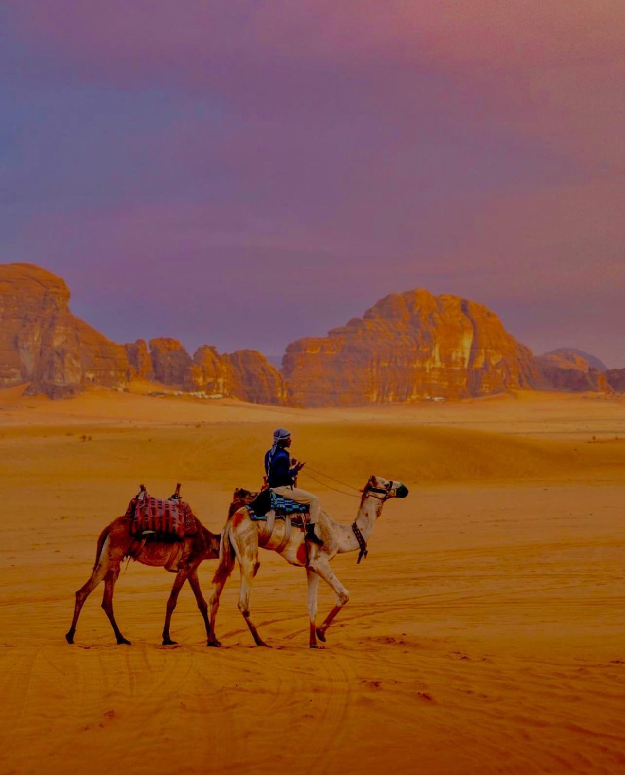 Wadi Rum Meteorite Camp Ngoại thất bức ảnh